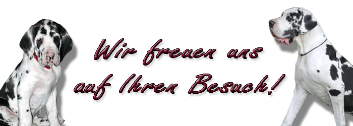 Sie sind bei uns Willkommen!